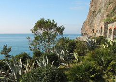 Vegetazione alle Cinque Terre